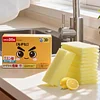 Citric Acid Descaling Sponge
