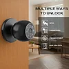  Smart Lock RK36: Unmatched Knob Security