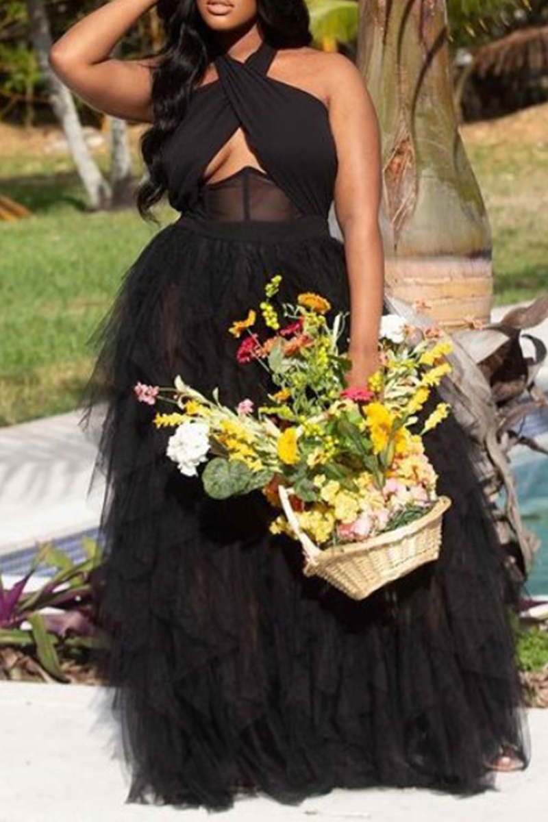 Black Sexy Solid Mesh Halter Mesh Dress Dresses