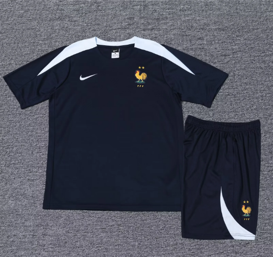 2024 France Training Kit Short Sleeve Football T-Shirt Thai Quality