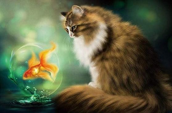

Cat And Orange Fish – Paint By Numbers - 40*50CM, 501 Original