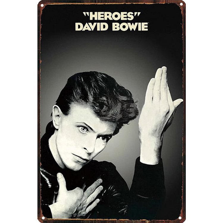 【20*30cm/30*40cm】Bowie-Vintage Tin Signs/Wooden Signs