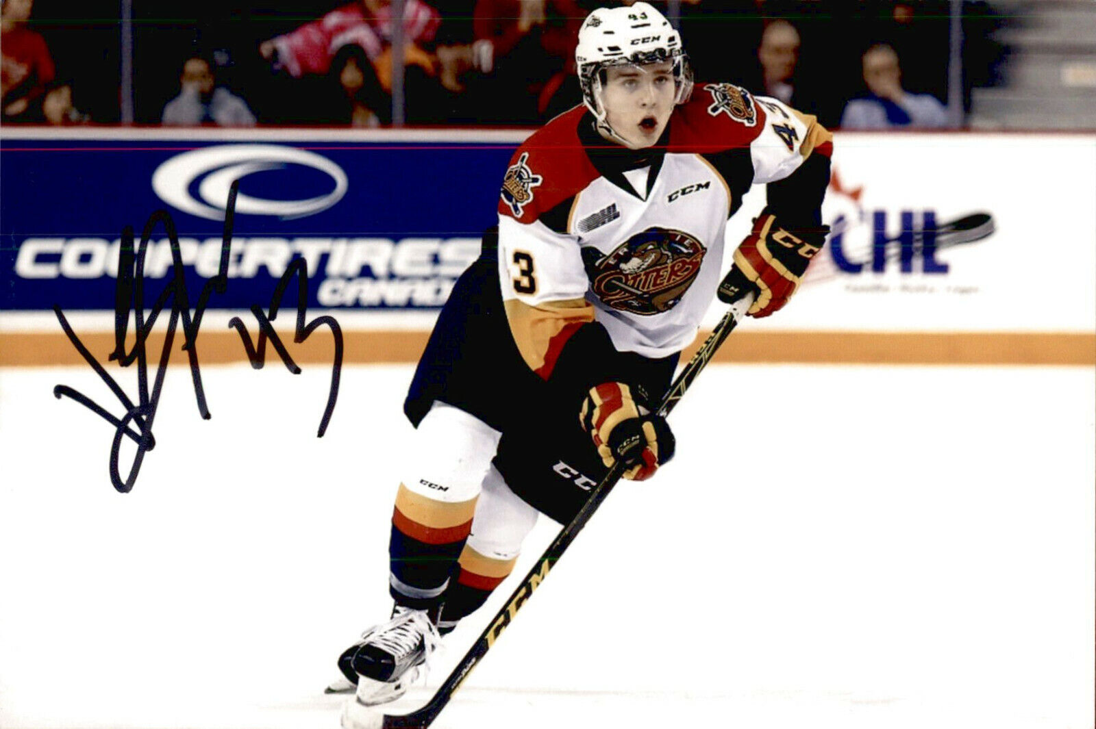 Ivan Vanya Lodnia SIGNED autographed 4x6 Photo Poster painting ERIE OTTERS / MINNESOTA WILD #3