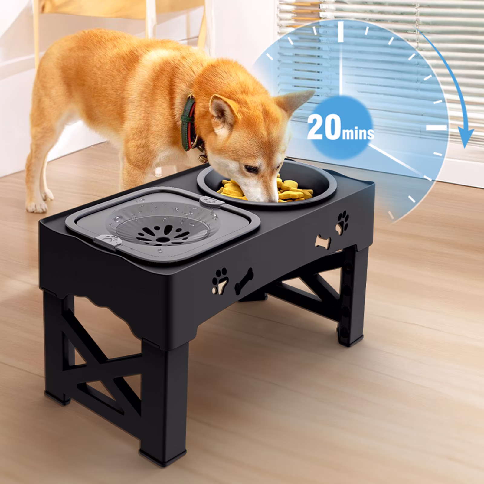 Cornmi 2-in-1 Adjustable Height Slow Feeding Bowl for Small to Medium Dogs and Cats