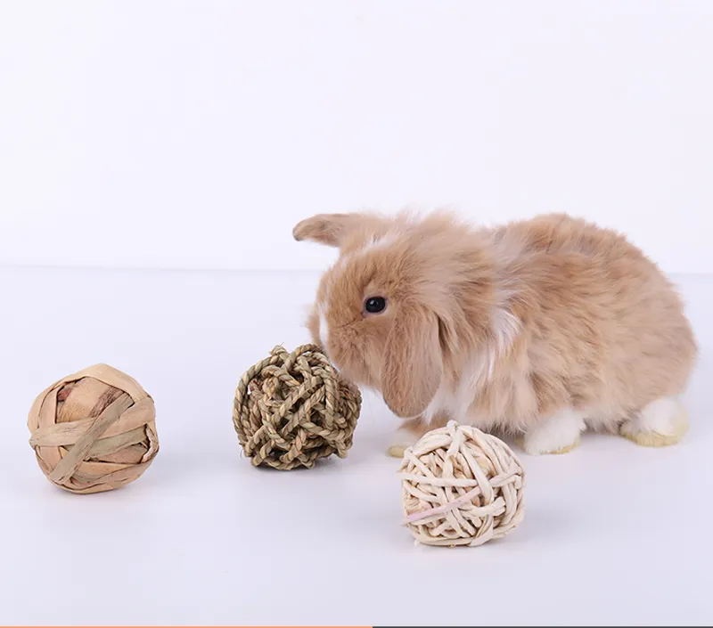 Toys that rabbits like, recommendation and introduction of how to play.