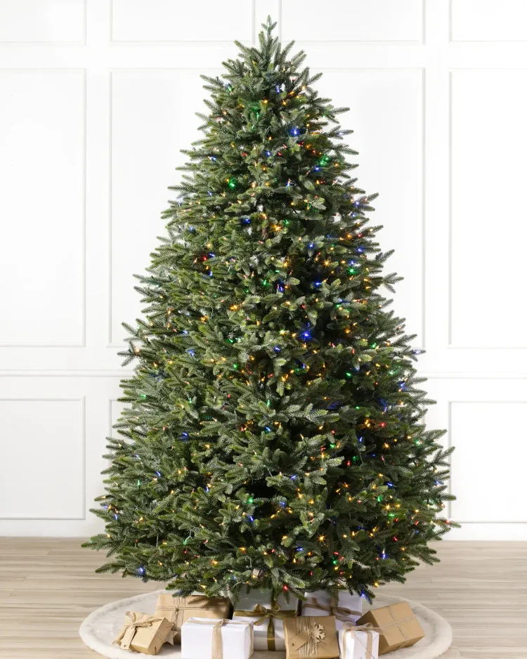 🔥kukelife🔥Centennial Fir??