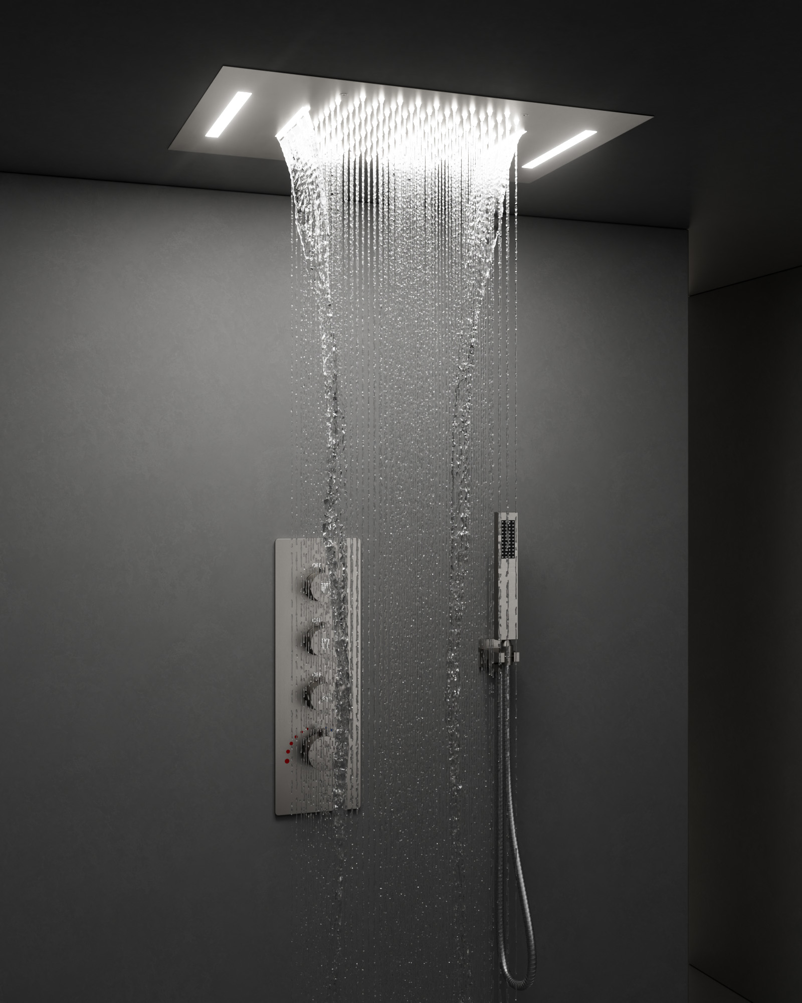 Ceiling Mount And Handheld Shower Head