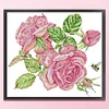 Pink Rose-14CT Stamped Cross Stitch 30*27cm/11.81*10.63in