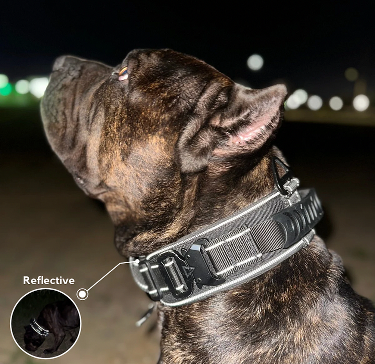 2.5" ProGuard Collar