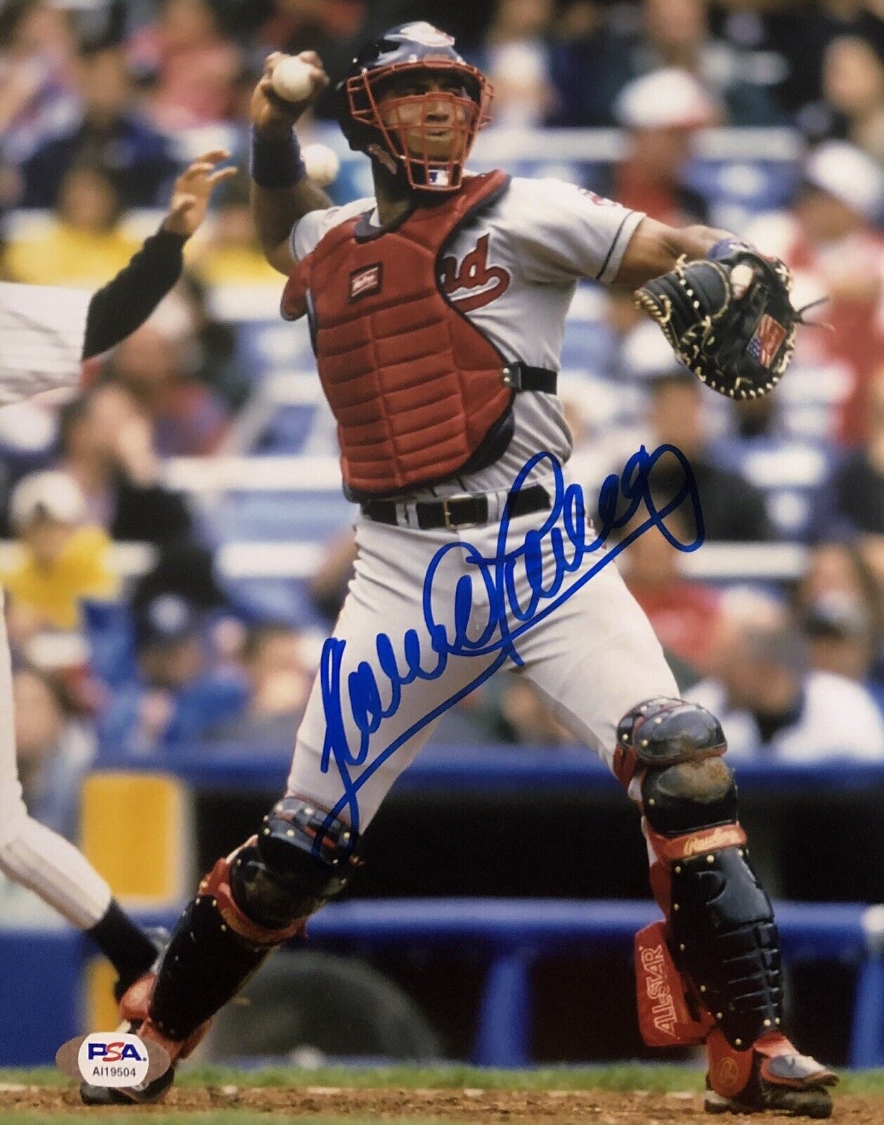 Sandy Alomar Jr Signed Autographed Cleveland Indians 8x10 Photo Poster painting Psa/Dna