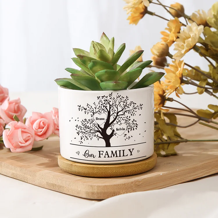 Personalized Ceramic Flowerpot with Wooden Base Custom 2 Names & 1 Text Family Tree Flowerpot Gift for Mother/Grandma