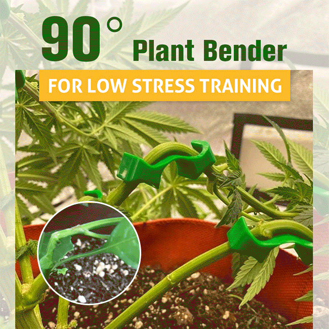 90 Degree Plant Bender for Low Stress Training