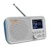 C10 2.4 inch Color LCD Screen Digital Desktop Alarm Clock DAB DAB+ FM Radio