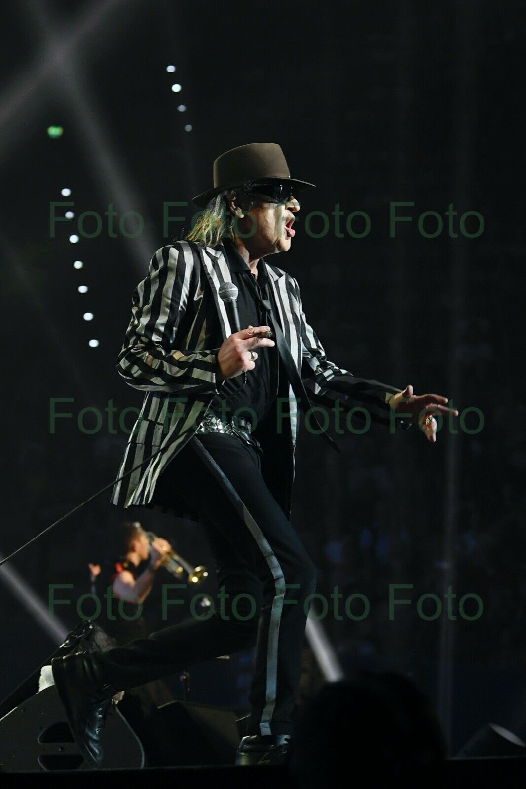 Udo Lindenberg Rock Musik Maler Foto 20 x 30 cm ohne Autogramm (Be-20