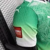 2026 Player Ivory Coast Special Edition Green Soccer Jersey