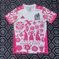 2025-26 Mexico Special Edition Pink Jersey - Fan Edition