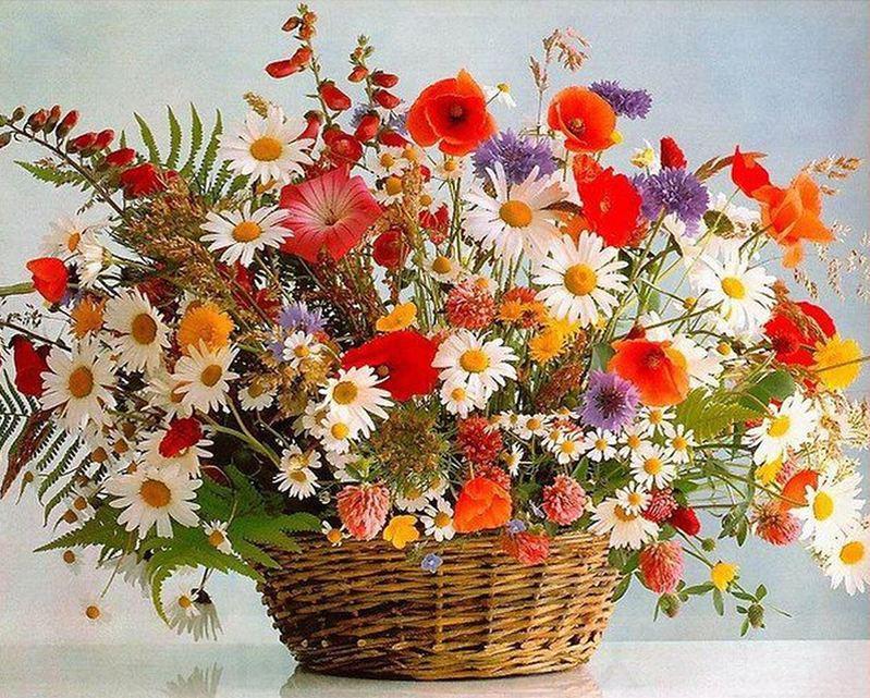 

Home Flowers – Paint By Numbers - 40*50CM, 501 Original