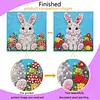 DIY Pre-Framed Rabbit Button Art Canvas Kit