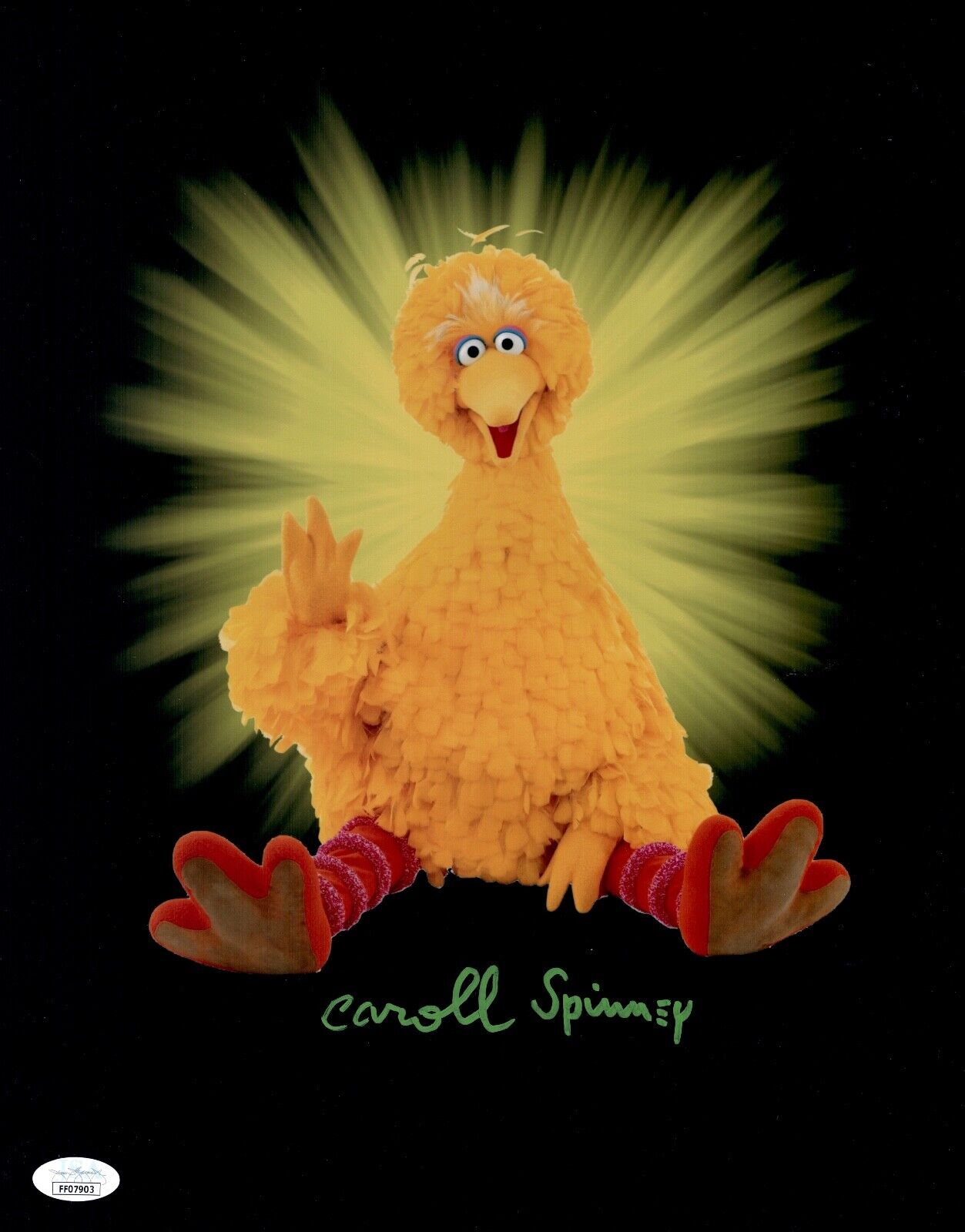 CAROLL SPINNEY Signed BIG BIRD 11x14 Photo Poster painting SESAME STREET Autograph JSA COA