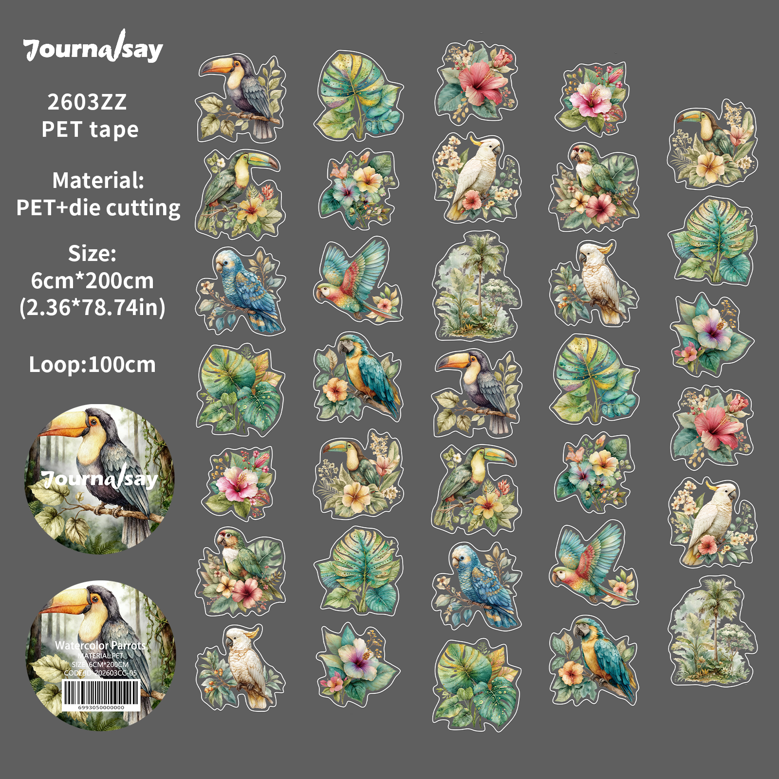 PET 테이프 - 60mm*200cm 빈티지 수채화 앵무새 꽃