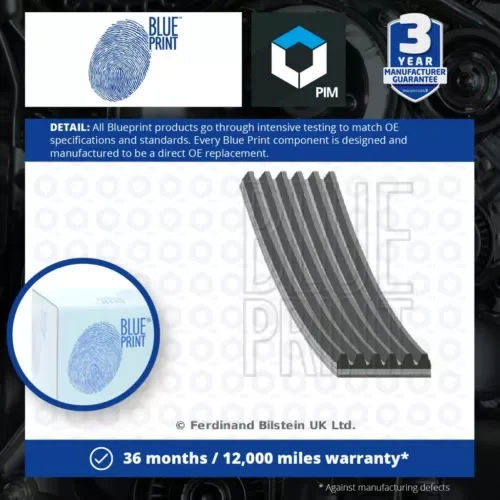 6 Rib Multi V Drive Belt fits FORD Blue Print 1381643 6G9Q6C301BA Quality New Parts