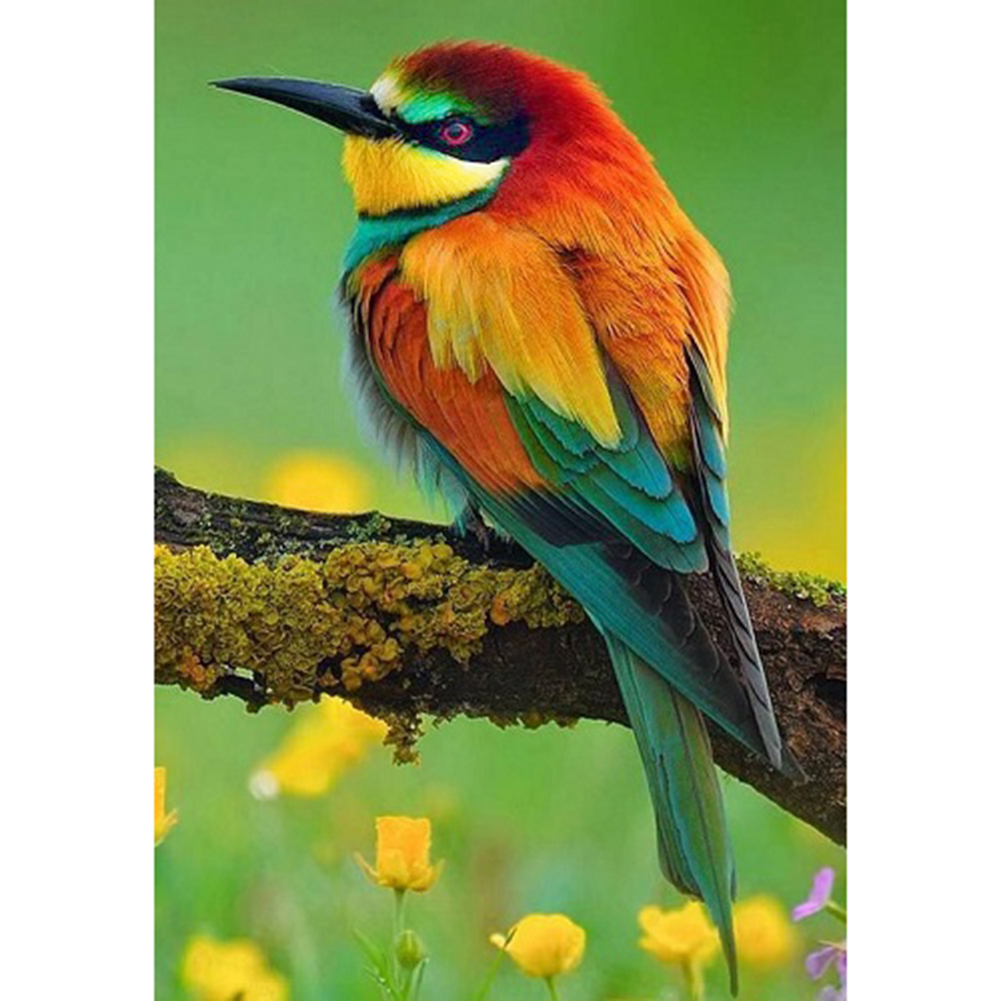 

Rainbow Bird - Round Drill Diamond Painting - 30*40CM, 501 Original
