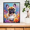 Bouledogue-Carré Diamant Peinture-45*55CM