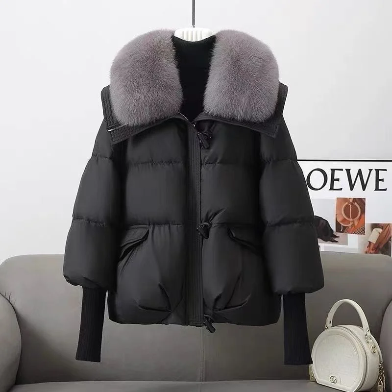Toloer 2024 Winter New Down Cotton-Padded Clothes Female Short Foreign Style Korean Version Loose Cotton-Padded Clothes Female Big Hair Collar And Thick Cotton-Padded Jacket-Outfit Ideas