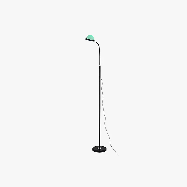 Eryn Modern Globe Metal Acrylic Floor Lamp