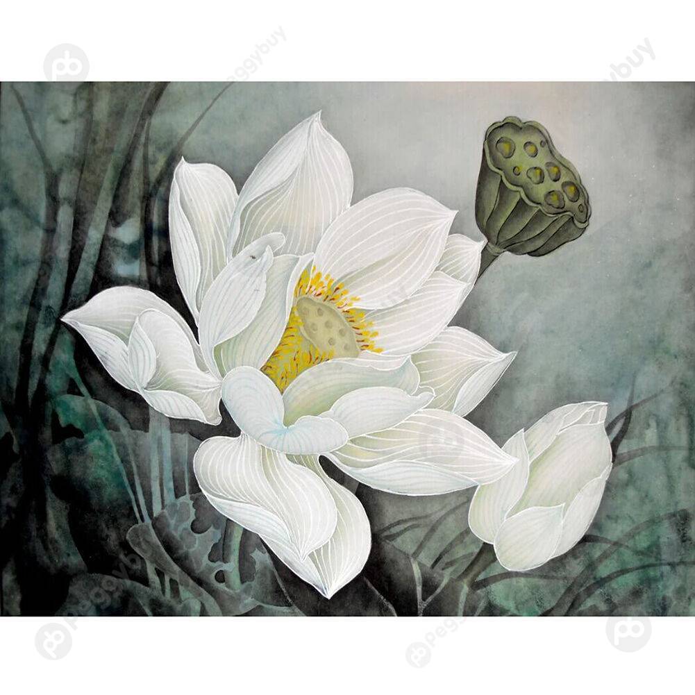 

40*50CM Paint By Numbers-Lotus, 501 Original