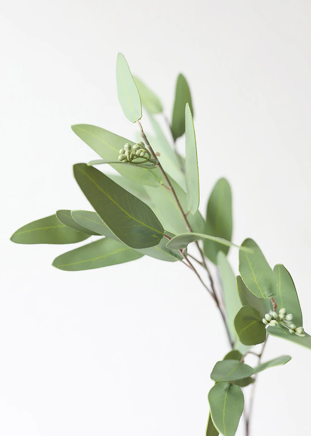 Faux Real Touch Eucalyptus Branch - 31"