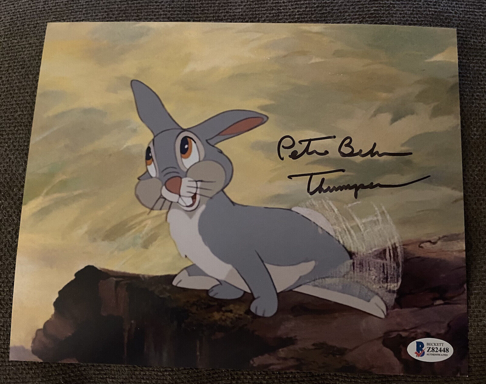 Bambi , Thumper Peter Behn Signed Autographed 8x10 Photo Poster painting Beckett Authenticated