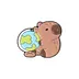 Curious Traveling Bear