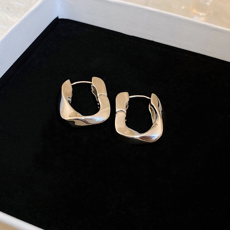 Silver Needle  Exaggerated Lovely Earrings Light Luxury High-grade Niche Earrings Fashion Metal Temperament Earrings For Women