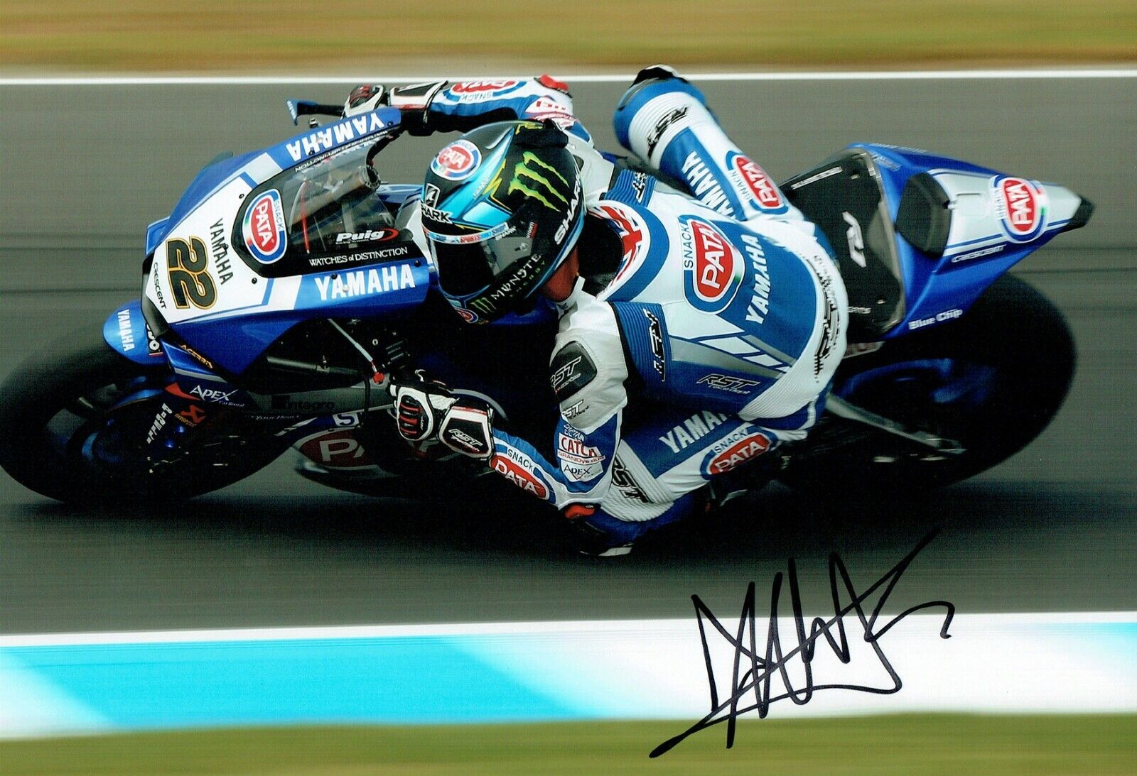 Alex LOWES SIGNED WSBK Autograph YAMAHA PATA 12x8 Photo Poster painting A AFTAL RD COA