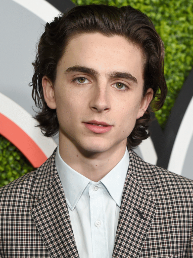 Timothee Chalamet 8x10 Picture Simply Stunning Photo Poster painting Gorgeous Celebrity #4