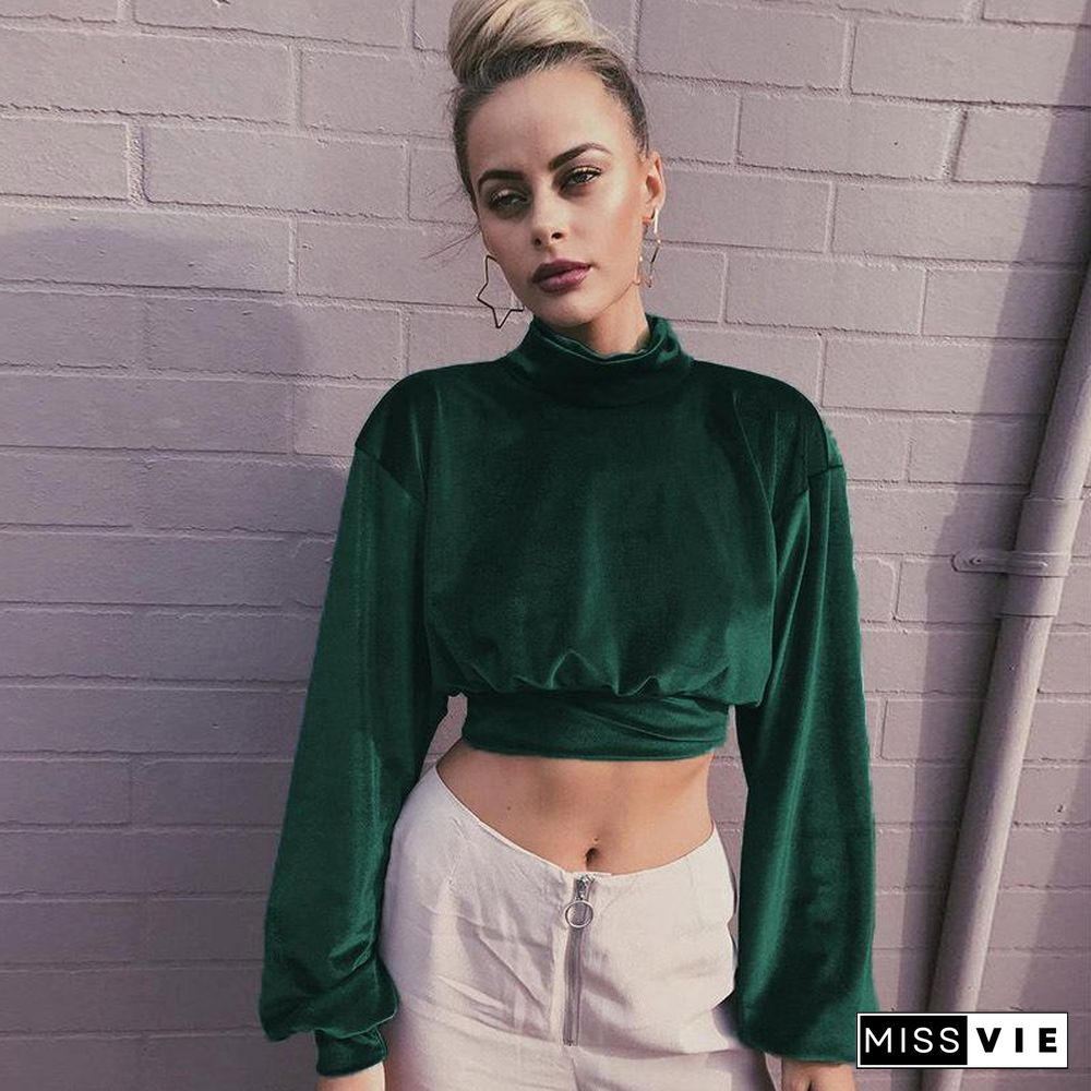 High Neck Midriff Baring Velvet Long Sleeve Top