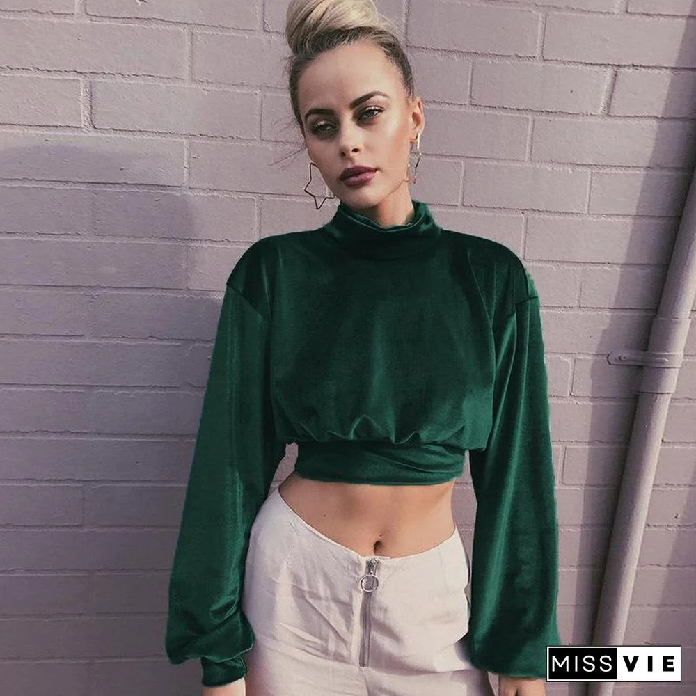 High Neck Midriff Baring Velvet Long Sleeve Top