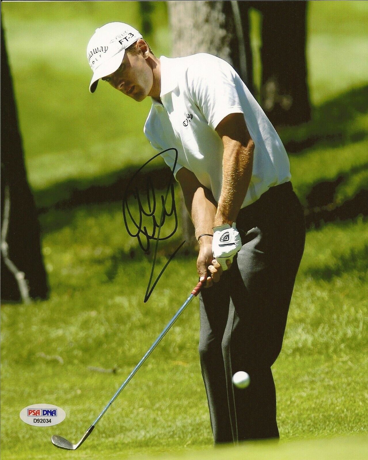 Charles Howell III Signed 8x10 Photo Poster painting PSA/DNA COA OSU PGA Golf Picture Autograph