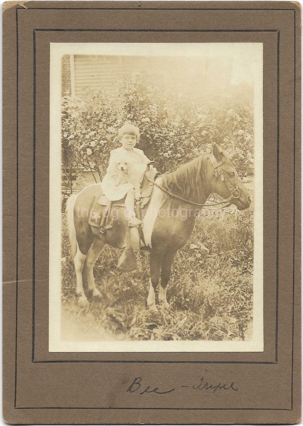 HORSE GIRL Vintage FOUND Photo Poster painting bwPortrait 19 28 L