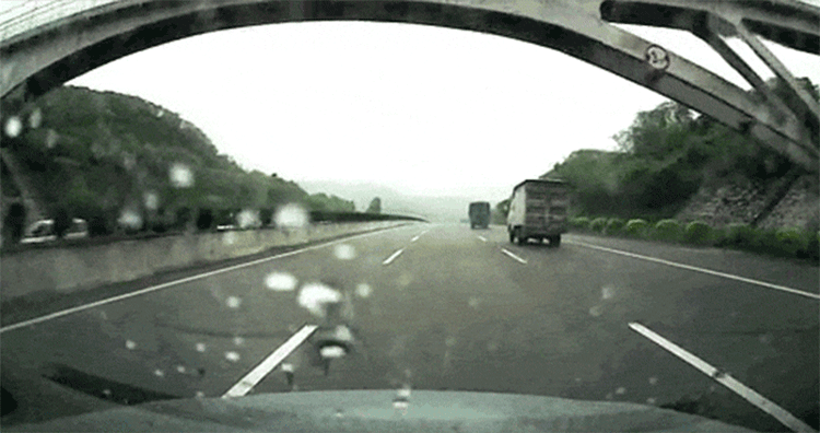 6.gif