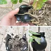 5cm Plant Rooting Box High Pressure Grafting Propagation Ball (Black S)