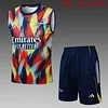 2025/2026 Arsenal Pre-Match Training Color Vest+Shorts Football1:1 Thai Quality