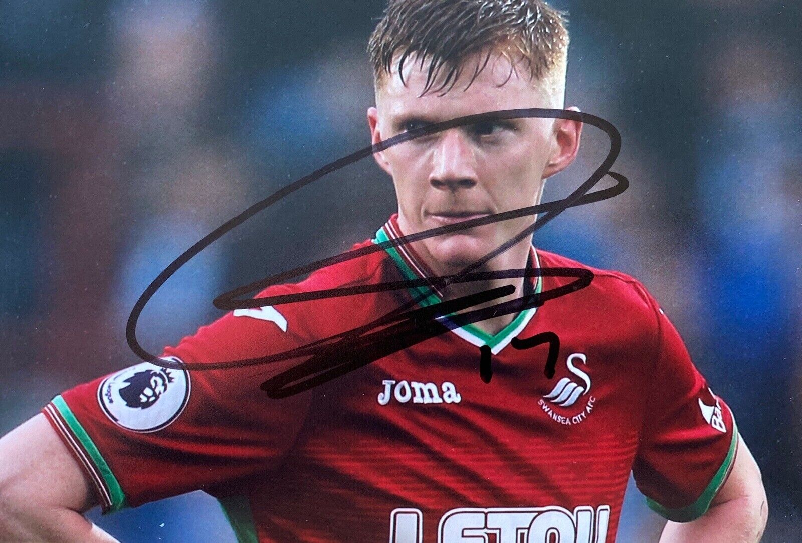 Sam Clucas Genuine Hand Signed 6X4 Photo Poster painting - Swansea City 3