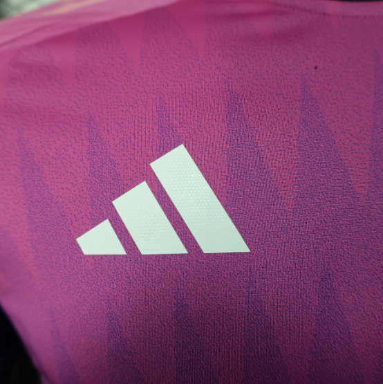 2024 Germany Away Player Version Men's Football T-Shirt Thai Quality