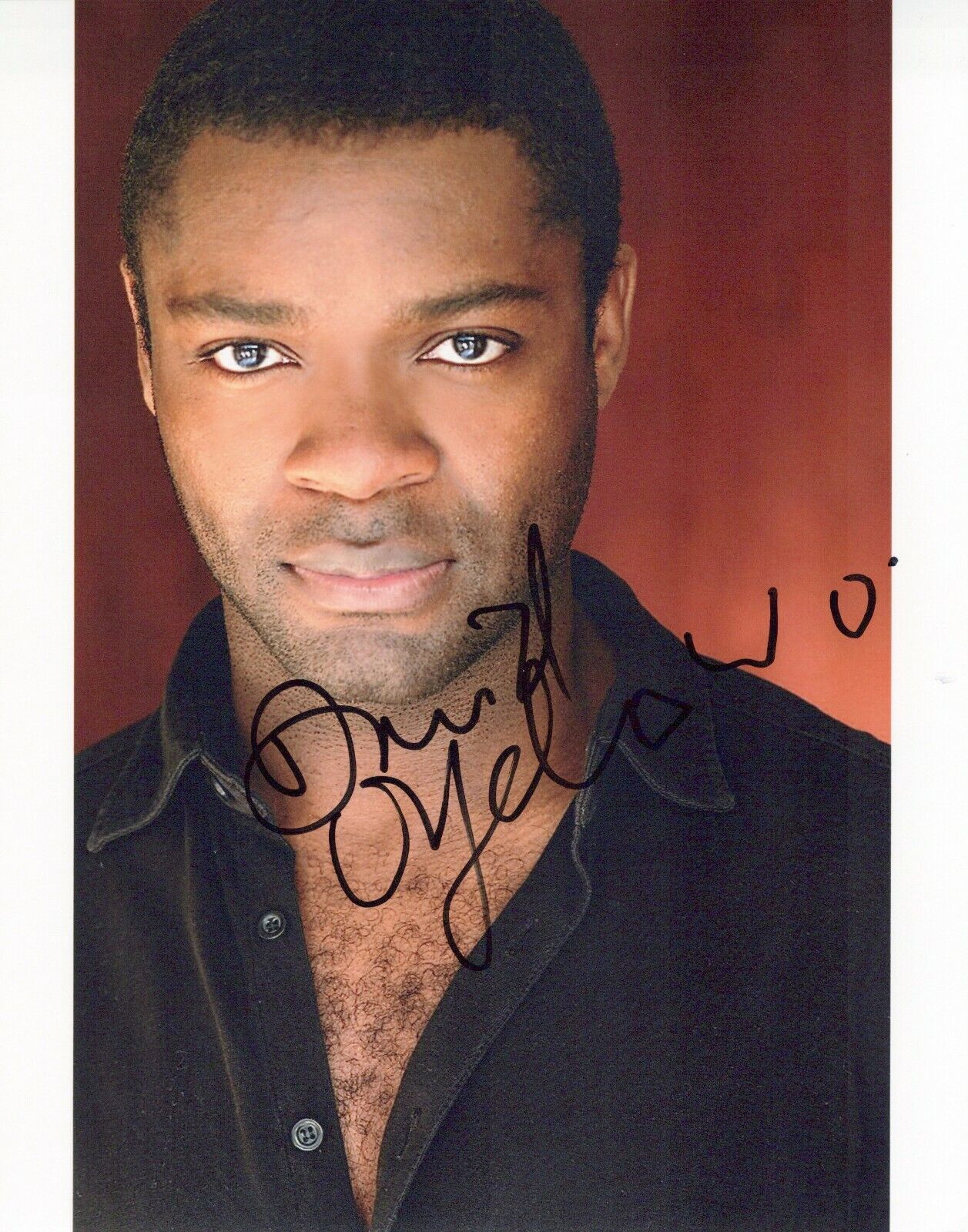 David Oyelowo head shot autographed Photo Poster painting signed 8x10 #2