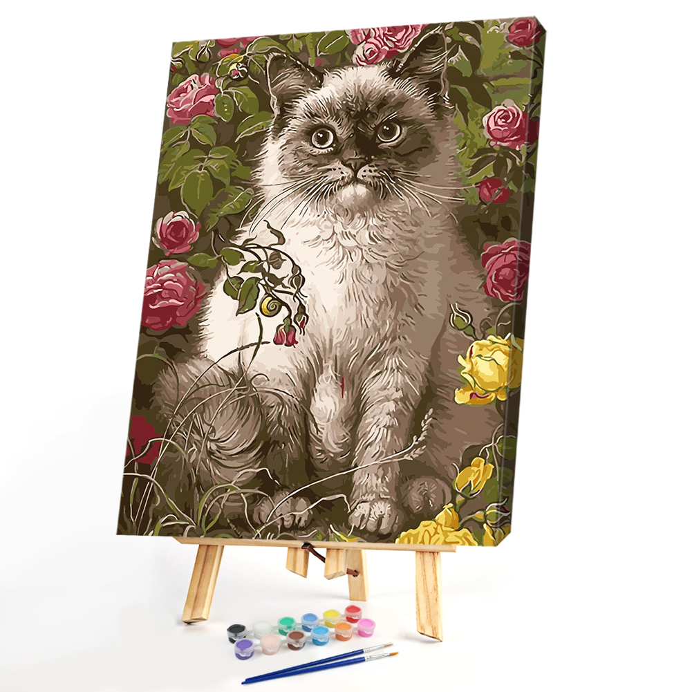 

40*50CM Paint By Numbers-Cat, 501 Original