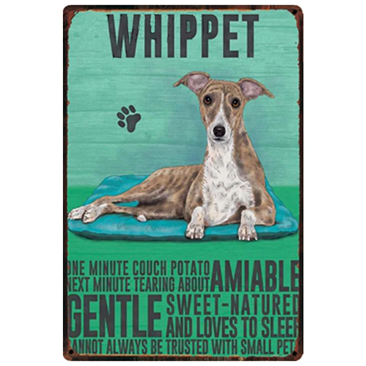 Whippet Dog - Vintage Tin Signs/Wooden Signs 8*12Inch/12*16Inch