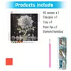 Crystal Special Shaped 5D DIY Partial Drill Diamonds Dots Gem Art Kits for Adults Beginners Home Decor Diamonds Paintings Gem Art 11.81 X11.81inch