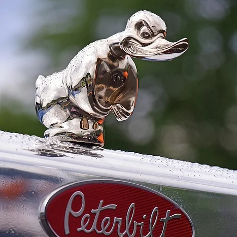 Angry Rubber Duck Hood Ornament Death Proof